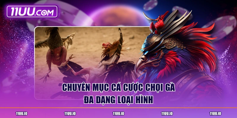 Chuyên mục cá cược chọi gà đa dạng loại hình